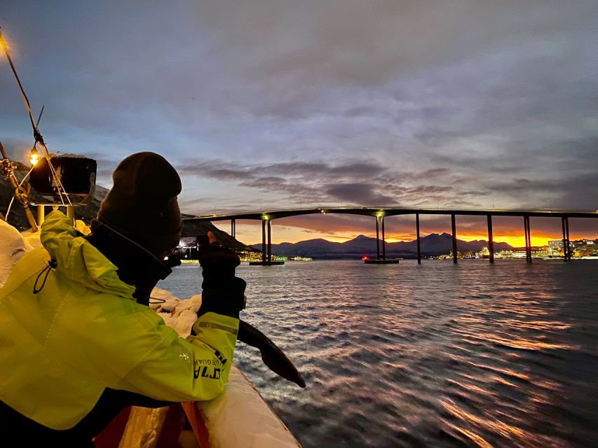 1 Hour Photo & History Cruise - Passing under Tromsø Bridge
