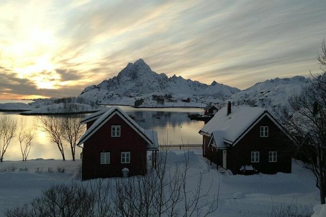 2- Day Lofoten Top Highlights Photo Tour - Transport, group size, and the comfort question