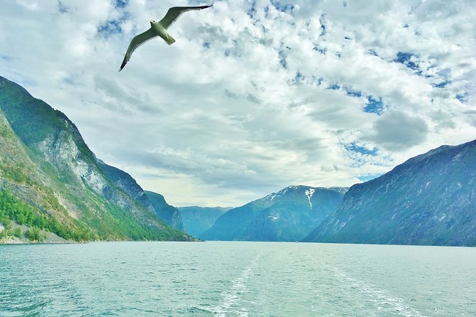 2-Day Round Trip from Bergen: THE GRAND SOGNEFJORD – fjords, waterfalls, glacier - Flåm, the railway, and Stegastein