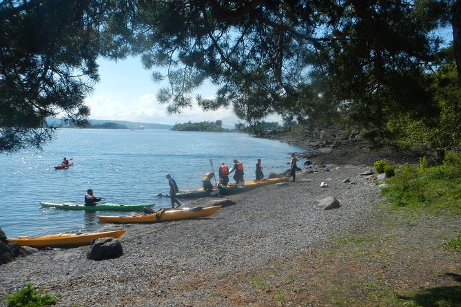 2- hour kayak trip on the Oslo Fjord - Key points to know before you book