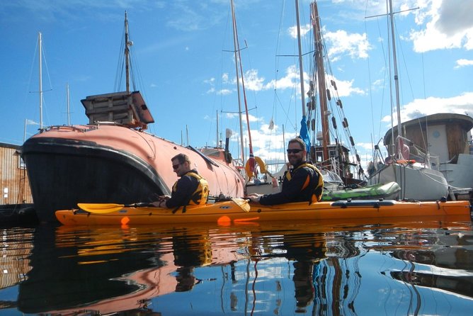 2- hour kayak trip on the Oslo Fjord - Beaches, swimming, and wildlife