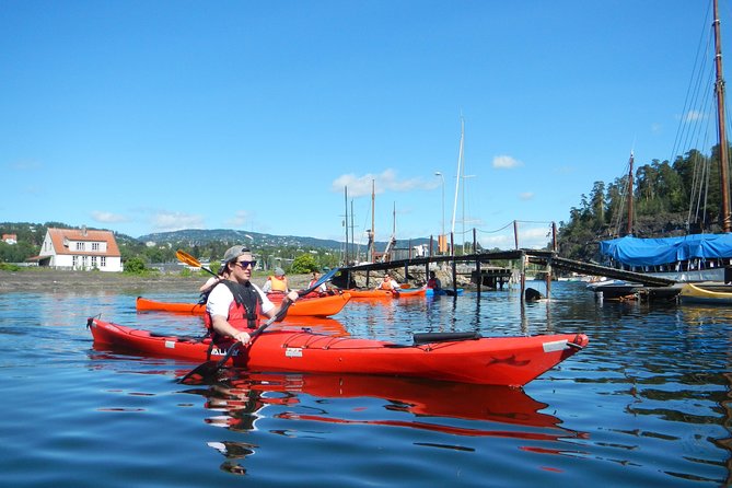 2- hour kayak trip on the Oslo Fjord - What the guide adds to the experience