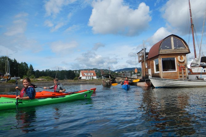 2- hour kayak trip on the Oslo Fjord - Is $117.91 a fair price?