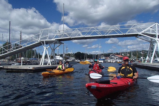 2- hour kayak trip on the Oslo Fjord - Who should book this two-hour paddle?
