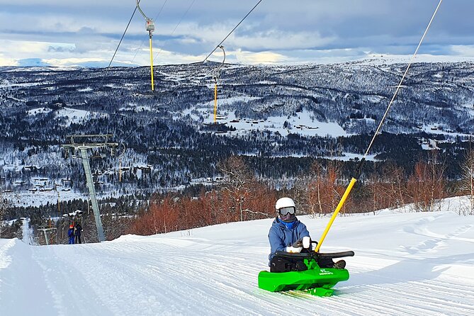 2-Hour Racing Toboggan at Dagali Fjellpark near Geilo in Norway - What two hours really gives you