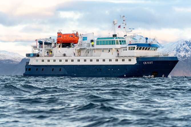 24hr Northern Lights & Whale Watching Cruise - Leaving Tromsø at 8 PM