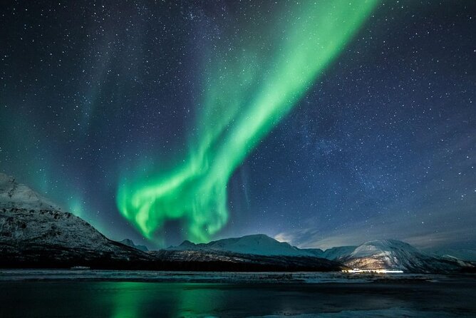 24hr Northern Lights & Whale Watching Cruise - Breakfast, lunch, and time to absorb the experience