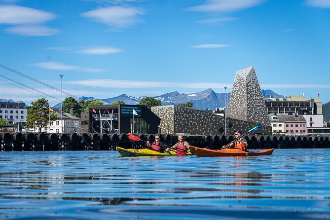 3-Hour Kayak Tour in Åndalsnes - What the guide adds to the experience