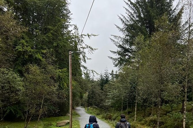 3-Hour Private Tour Hiked through the Bergen Mountains - What the three hours actually include
