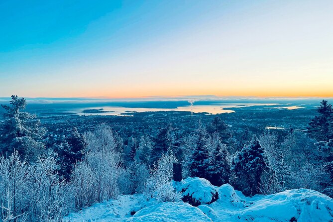 4 hours Best View of the Oslofjord Winter Edition - Why Vettakollen is the star of this Oslo outing