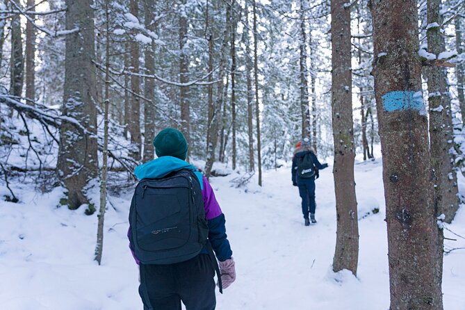 4 hours Best View of the Oslofjord Winter Edition - A pause at Fuglemyrhytta and Norway’s cabin culture