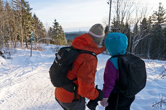 4 hours Best View of the Oslofjord Winter Edition - Is the $107.17 price fair?