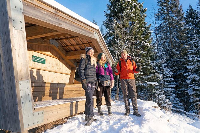 4 hours Best View of the Oslofjord Winter Edition - Who will enjoy this winter hike most?