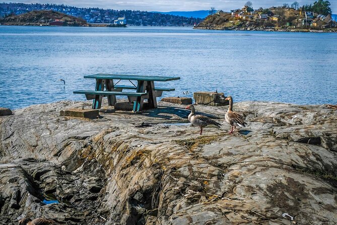 4 Hours Island Hopping Tour in Oslo - How the Small Group Affects the Day