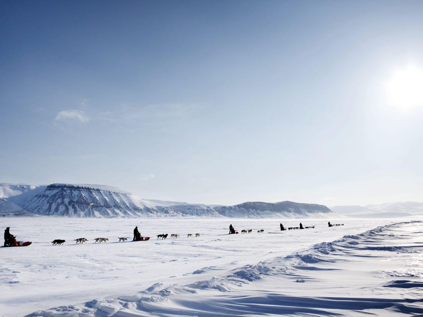 4hr Dog Sledding Trip on Finnmarksvidda - Is $340 a fair price?