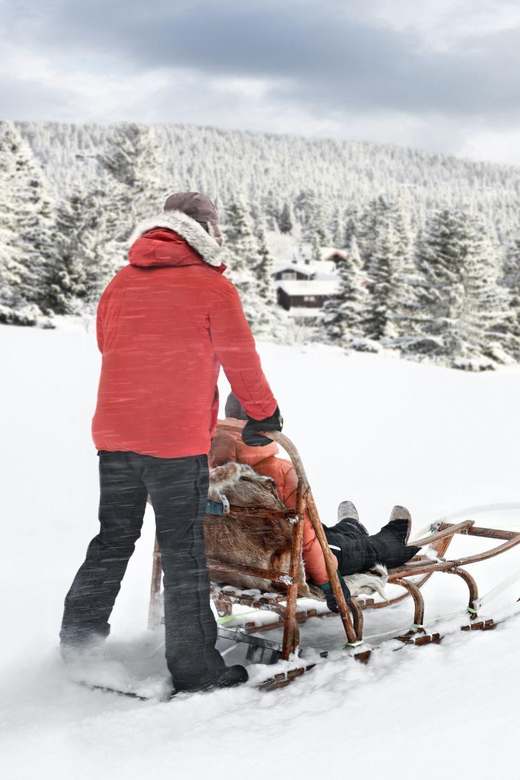 4hr Dog Sledding Trip on Finnmarksvidda - Learning to steer before the dogs take off
