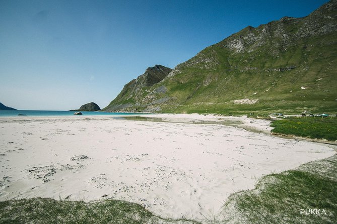 5 Highlights Of Lofoten From Svolvær - Key points to know before you book