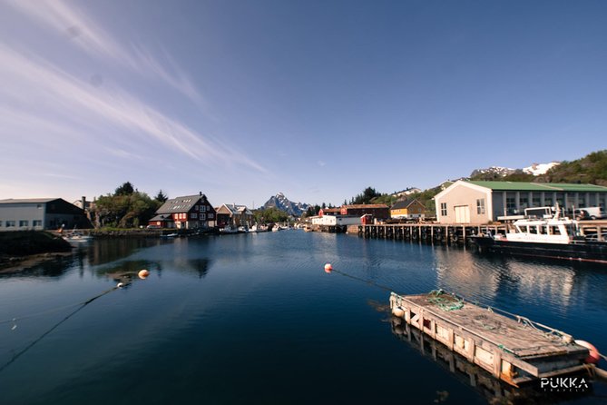 5 Highlights Of Lofoten From Svolvær - Henningsvær, the final village stop