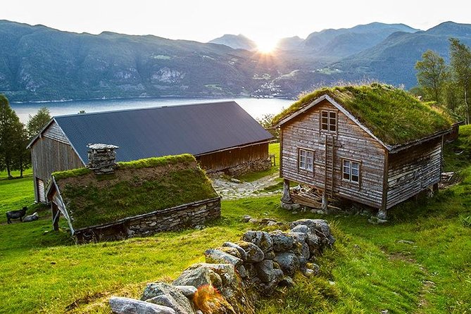 6 Day Fjord Kayaking Trip Norway - Guides, safety, and the small-group advantage
