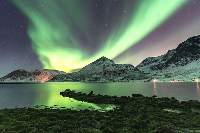 Adults Only Aurora Hunt with Wandering Owl - Key points to know before booking