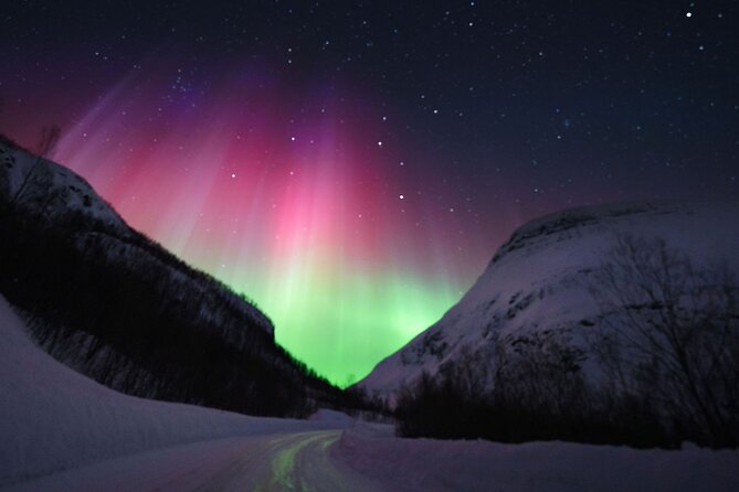 Adults Only Aurora Hunt with Wandering Owl - Firelight, food, and thermal gear