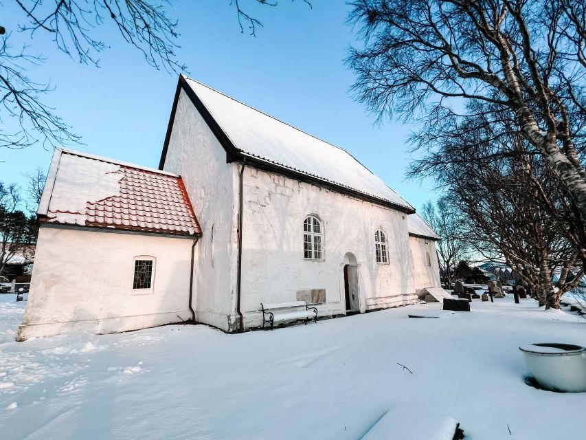Ålesund: Ålesund and Surrounding Islands Audio Guide Tour - Who should book this Ålesund island tour?