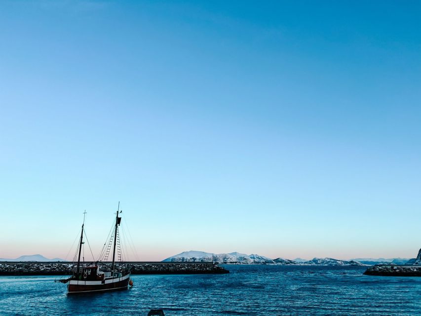 Ålesund: Ålesund and Surrounding Islands Audio Guide Tour - Alnes, where the road meets the Atlantic