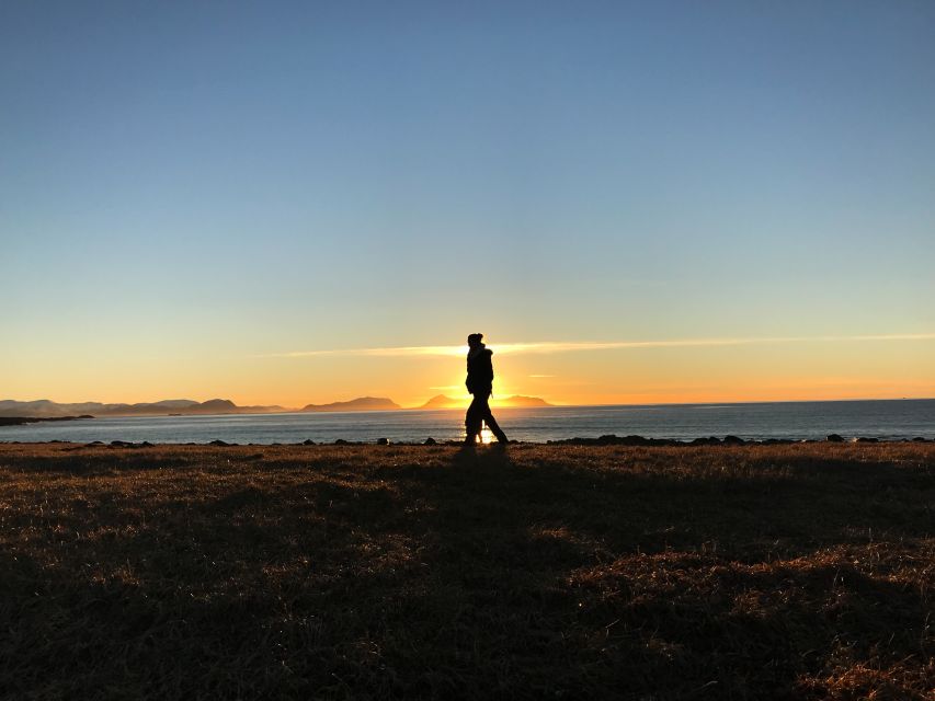 Ålesund: Ålesund and Surrounding Islands Audio Guide Tour - Alnes Fyr, the lighthouse stop with a café