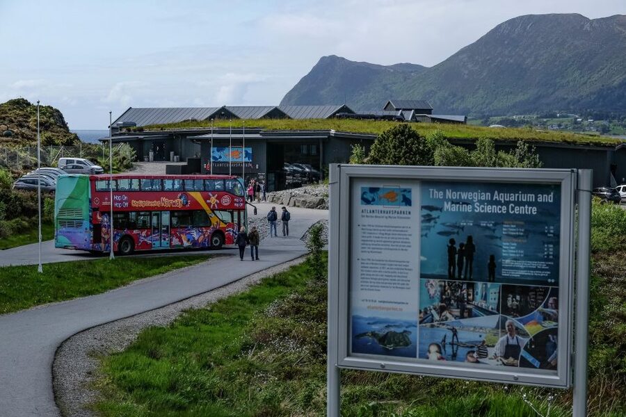Alesund: City Sightseeing Hop-On Hop-Off Bus Tour - Stop 8: Atlanterhavsparken and the aquarium