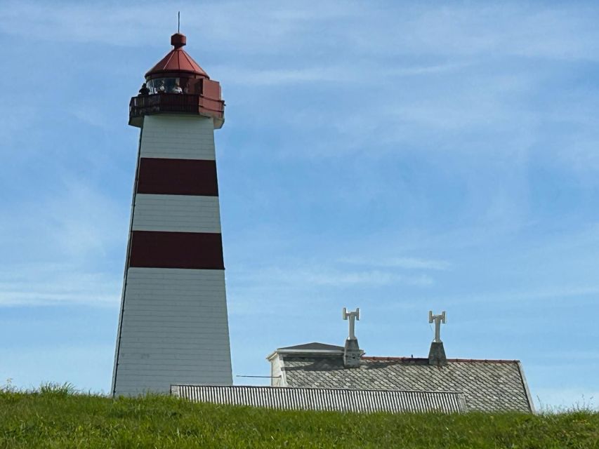 Ålesund: Giske and Godøy Islands Guided Sightseeing Tour - Practical tips for a smoother outing