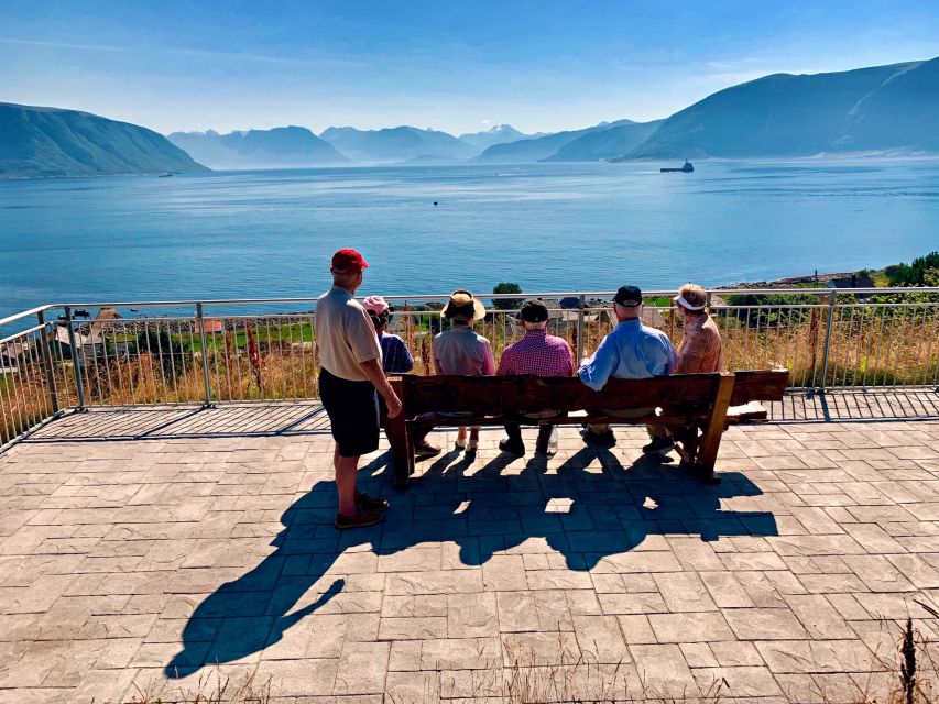 Alesund: Private Tour to the Viking Islands - Godoy and the fishing village of Alnes