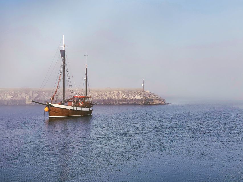 Alesund: Private Tour to the Viking Islands - Is $944 good value for four people?