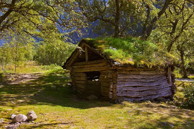 Alesund Shore Excursion: The Ultimate Sightseeing Tour - Sunnmøre Museum turns local history into a walk