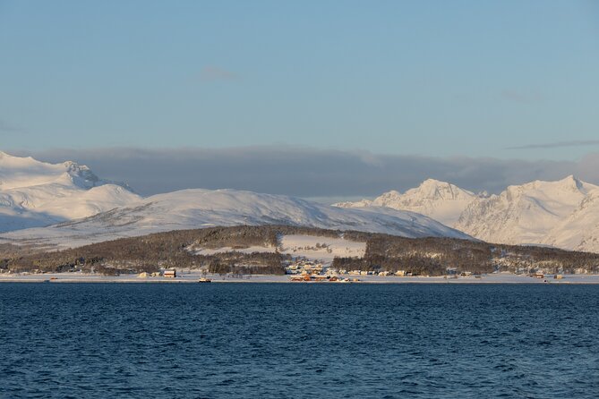 All-Inclusive Arctic Fjords and Sommarøy Scenic Tour - Weather, clothing, and practical preparation