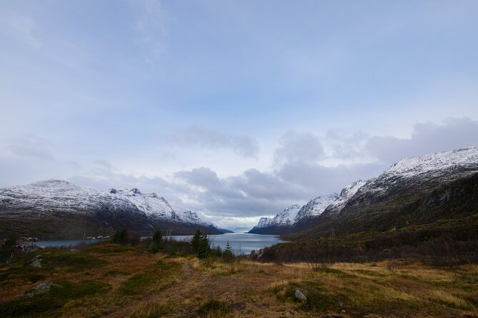 All-Inclusive Arctic Fjords and Sommarøy Scenic Tour - Photo stops with real time to look around