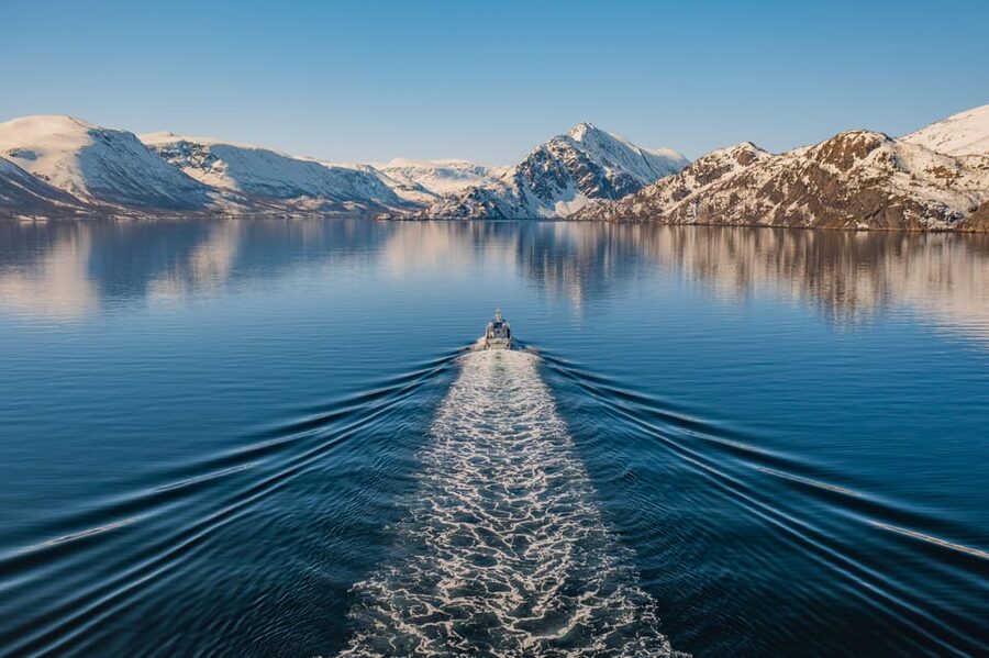 Alta: Altafjord Whale Watching in a Heated Boat - Why herring bring orcas and humpbacks here