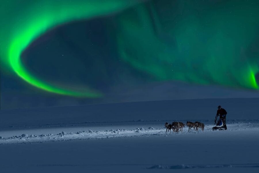 Alta: Dog Sledding Trip under the Northern Lights - The Northern Lights are a bonus, not a promise