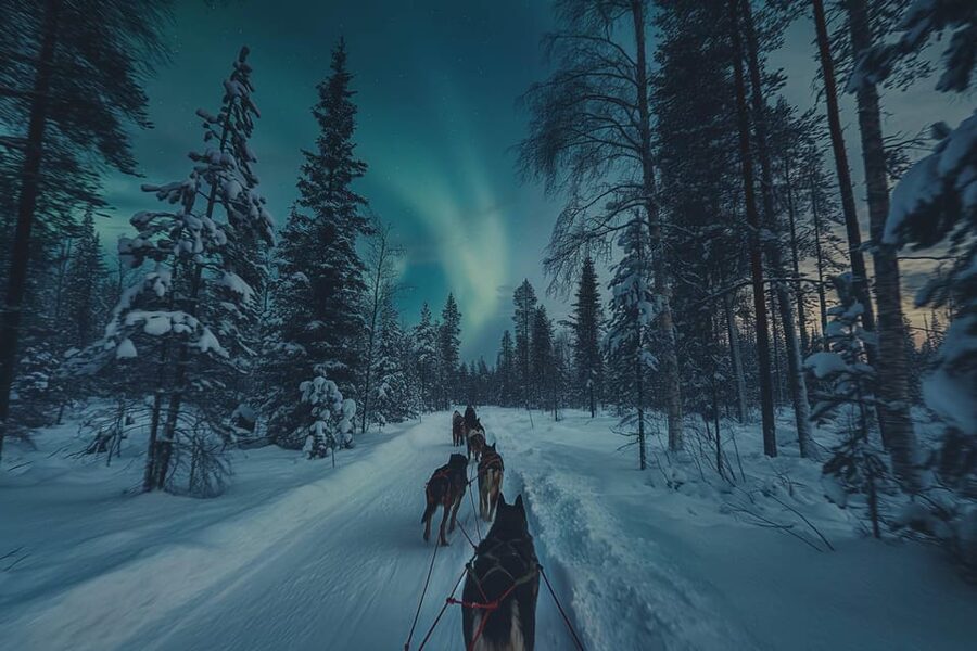 Alta: Dog Sledding Trip under the Northern Lights - Gargia Lodge, coffee, and local stories