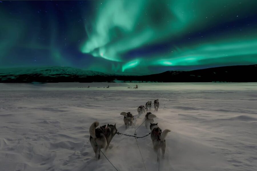 Alta: Dog Sledding Trip under the Northern Lights - Getting dressed for the Arctic