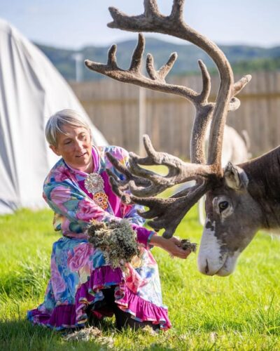 Reindeer – A carrier of Sámi Culture