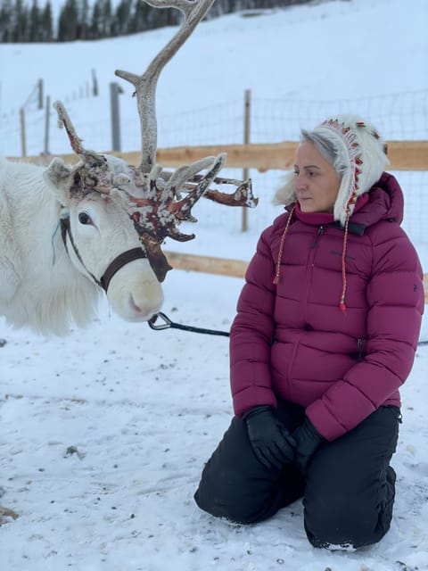 Alta: Sami Cultural Experience with Lavvu and Reindeers - Key points to know before booking
