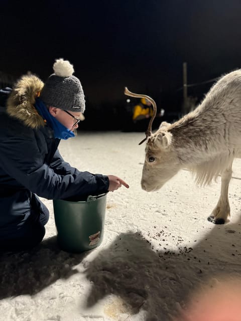 Alta: Sami Cultural Experience with Lavvu and Reindeers - Who will enjoy this most
