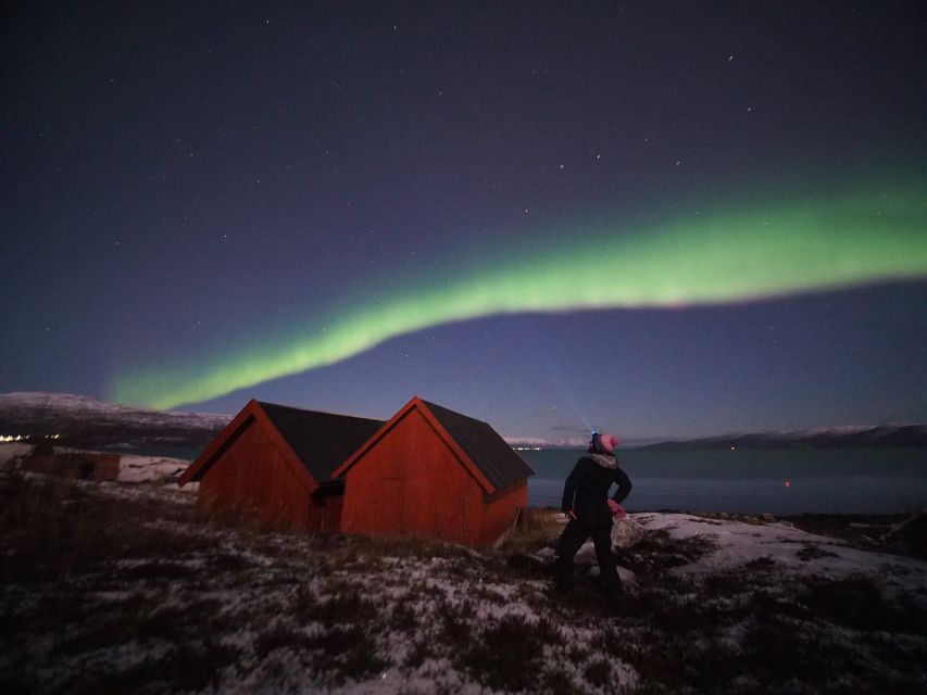 Alta: Small-Group Guided Northern Lights Tour - The stops: from roadside skies to a frozen lake
