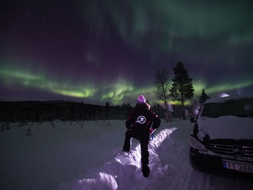 Alta: Small-Group Guided Northern Lights Tour - Is $251 a fair price?