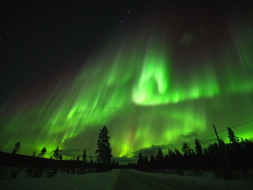 Alta: Small-Group Guided Northern Lights Tour - What the four-hour outing is really like