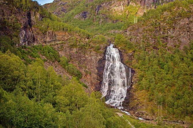AMAZING HARDANGER FJORD: Private guided round trip from Bergen, 10 hours - Steinstø fruit farm and a proper pause beside the fjord