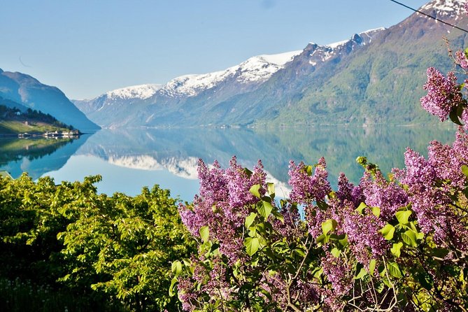 AMAZING HARDANGER FJORD: Private guided round trip from Bergen, 10 hours - Vøringsfossen, the dramatic high point of the day