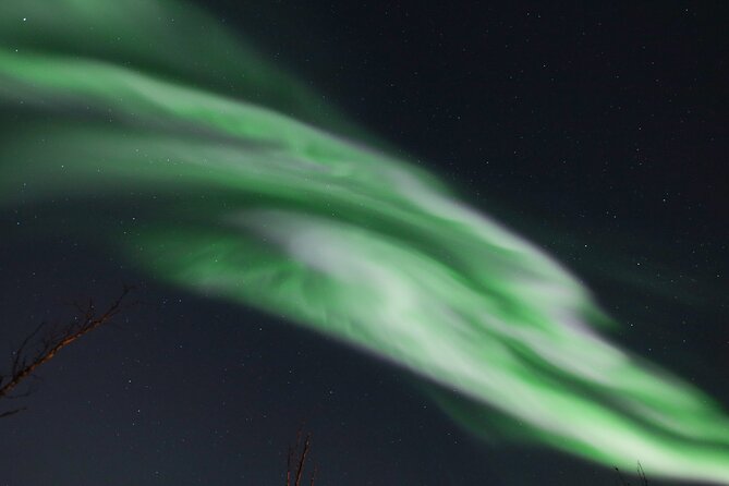 An All-Inclusive Tour - Aurora & Arctic Experience - Guides who shape the evening