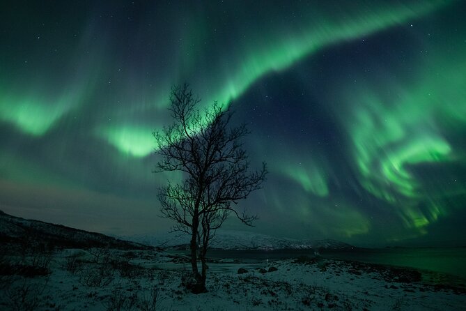 An All-Inclusive Tour - Aurora & Arctic Experience - Who should book this Tromsø outing?