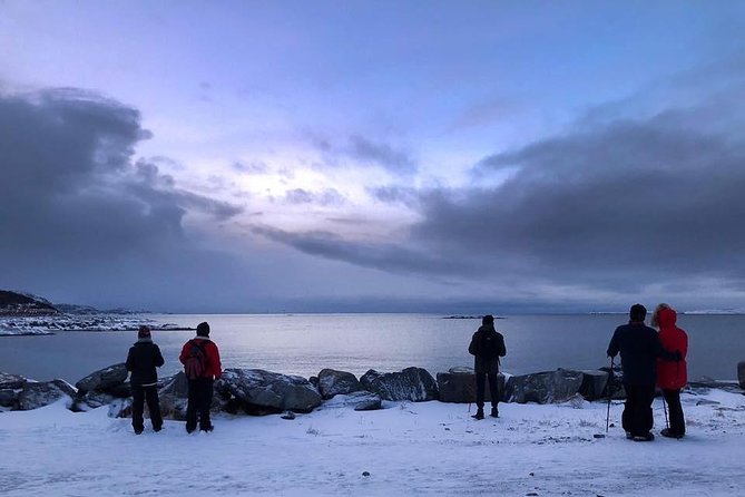 Arctic Coastal Walk - The 15-minute coach ride to Ausvika
